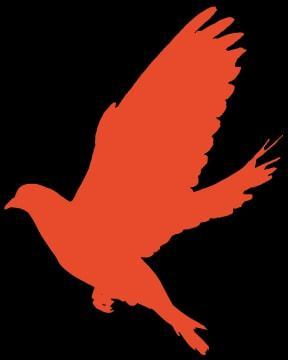 東陽重點監(jiān)測企業(yè)復(fù)工率達93%，彈性織帶行業(yè)展現(xiàn)強勁韌性